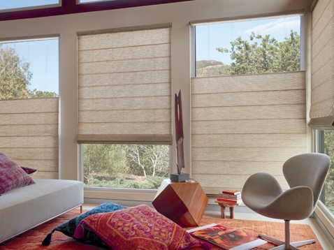 Hunter Douglas Dealer Image