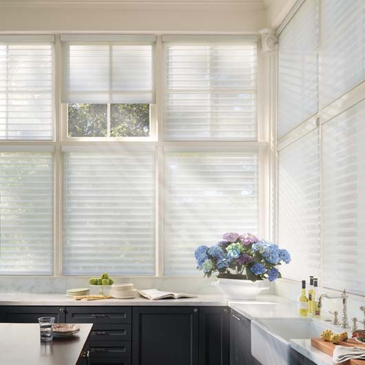 Hunter Douglas Dealer Image